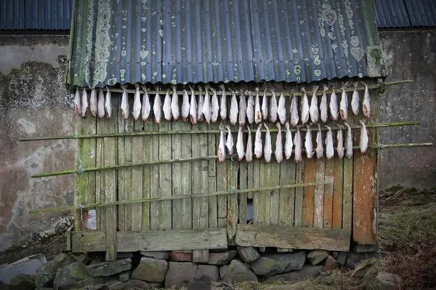 Cook Snap von kochcode-team