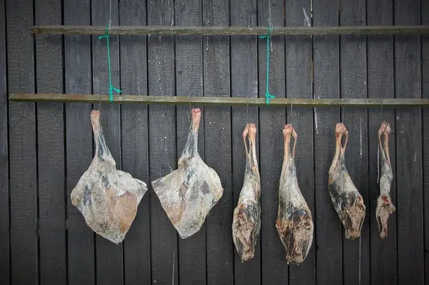 Cook Snap von kochcode-team