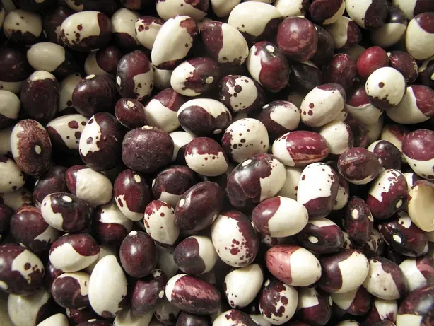 Foto von Riojaner Bohneneintopf Caparrones – fertig angerichtet