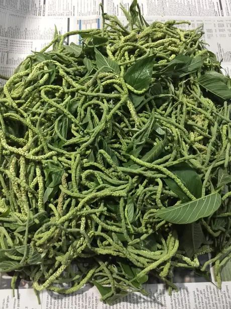 Cook Snap von kochcode-team