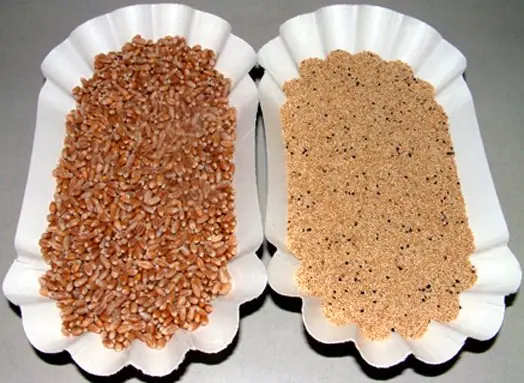 Amaranth und WW – Foto: Unbekannt (CC BY-SA 2.0 DE)