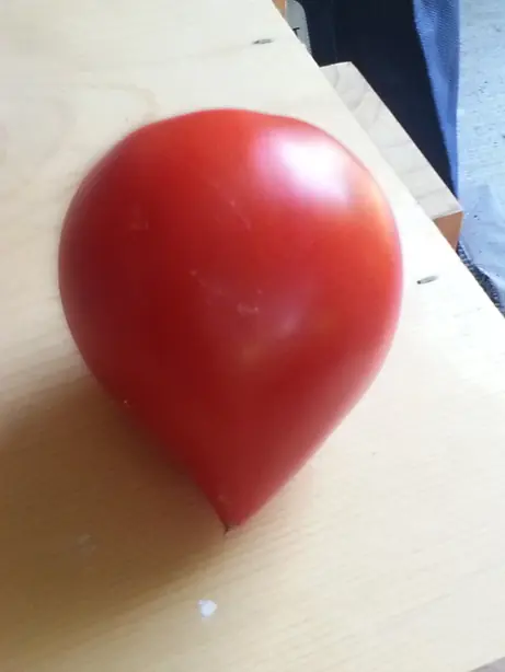 Cook Snap von kochcode-team