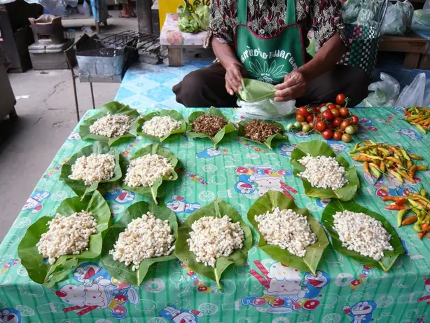 Cook Snap von kochcode-team