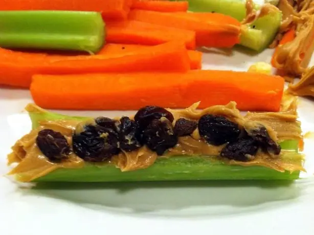 Foto von Ameisen auf einem Ast – fertig angerichtet