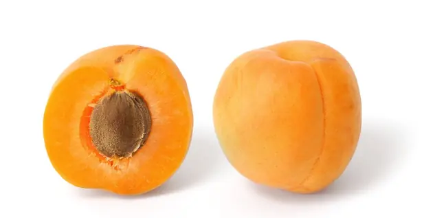 Foto von Aprikosen-Kompott klassisch – fertig angerichtet