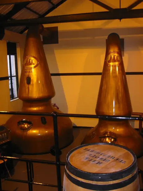 Cook Snap von kochcode-team