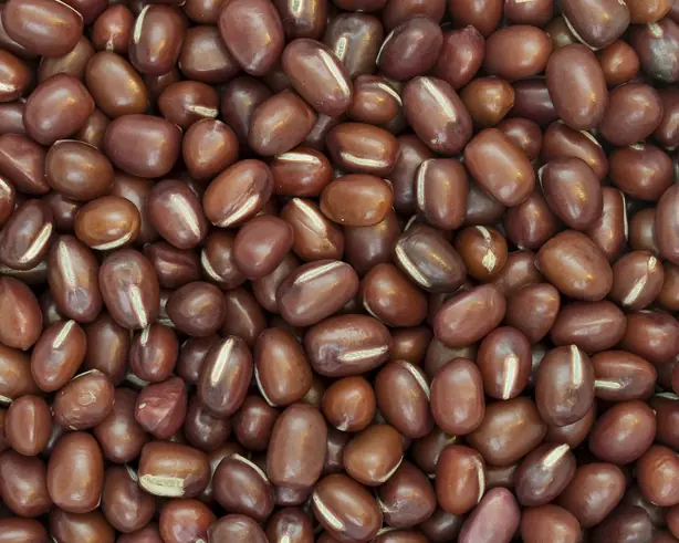 Foto von Japanische Adzuki-Bohnenpaste – fertig angerichtet