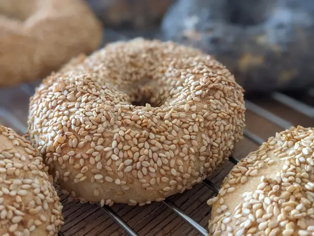 Cook Snap von kochcode-team