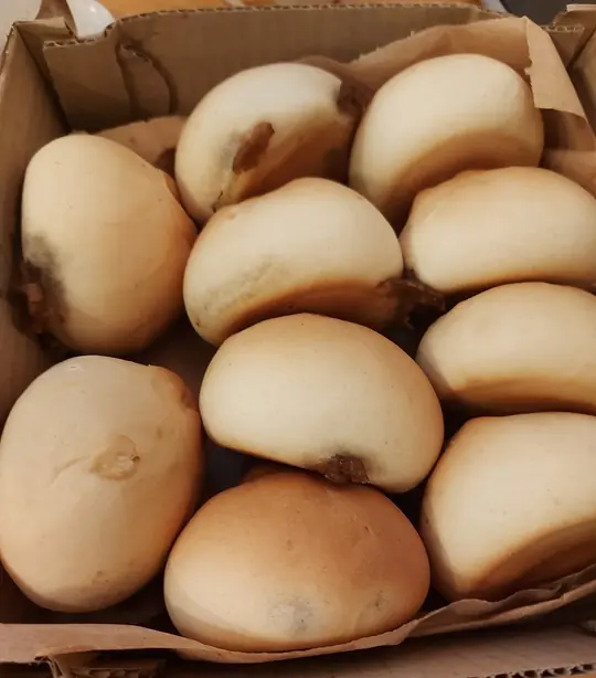 Cook Snap von kochcode-team