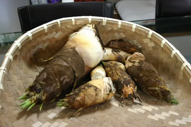 Cook Snap von kochcode-team