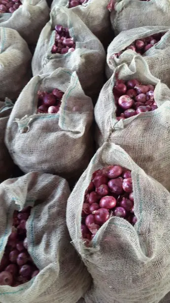 Foto von Bangalore-Rose-Zwiebeln indisch gebraten – fertig angerichtet