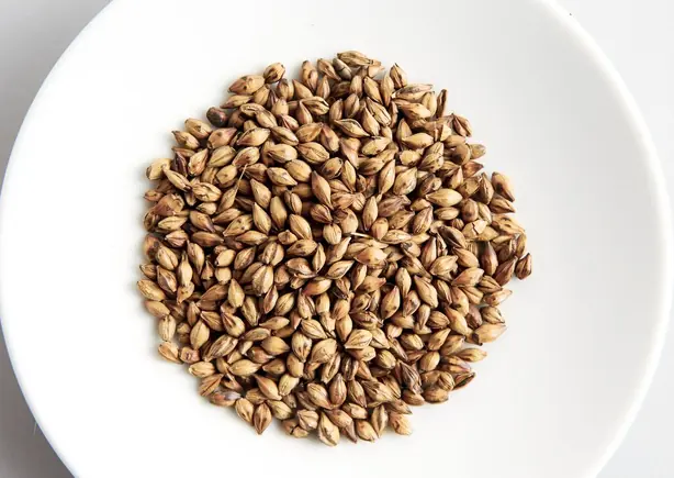 Cook Snap von kochcode-team