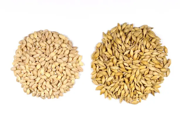 Cook Snap von kochcode-team