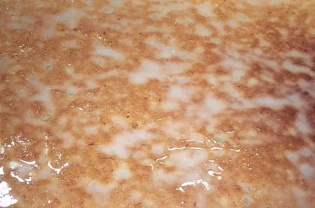 Cook Snap von kochcode-team