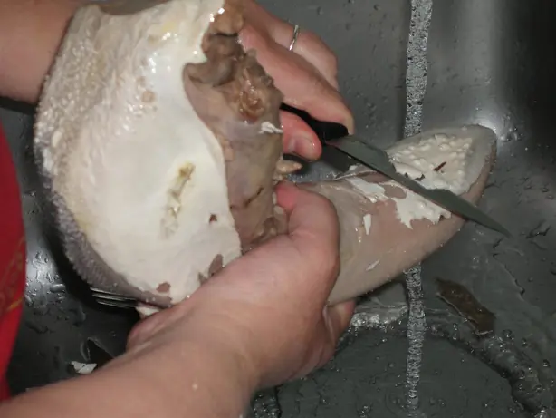 Cook Snap von kochcode-team