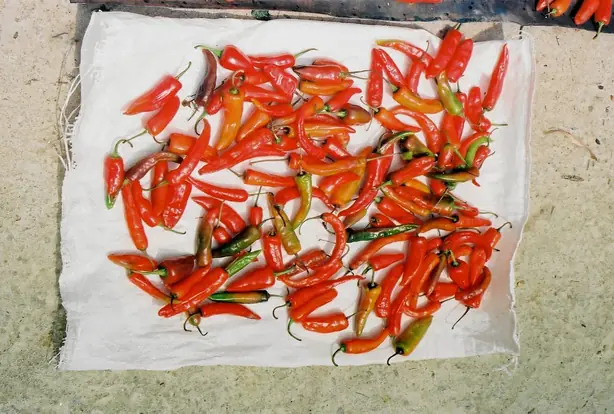 Bhutanese chili – Foto: thisibossi (CC BY 2.0)