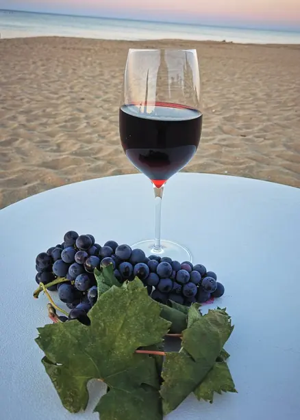 Foto von Apulische Orecchiette mit Brokkoli – fertig angerichtet