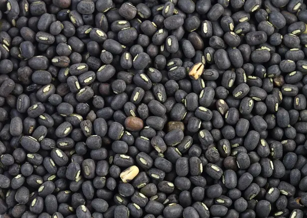 Foto von Indisches Urad-Dal Tadka – fertig angerichtet