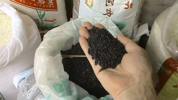 Cook Snap von kochcode-team