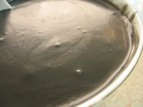 Foto von Chinesische Schwarzsamensuppe klassisch – fertig angerichtet