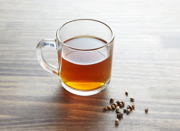 Cook Snap von kochcode-team