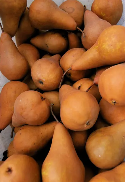 Foto von Pocheierte Bosc-Birnen mit Zimt – fertig angerichtet