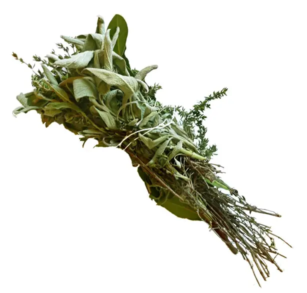 Cook Snap von kochcode-team