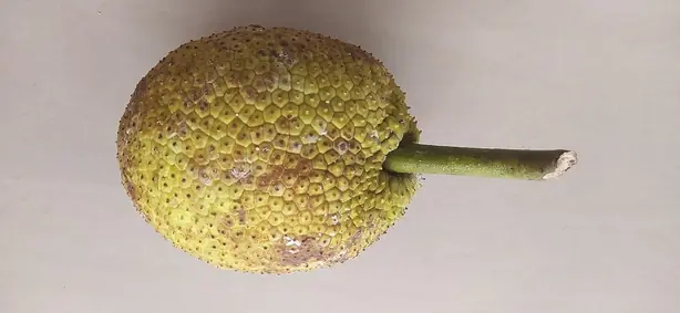 Cook Snap von kochcode-team