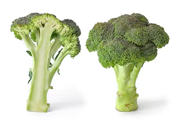 Foto von Gebratener Broccoli mit Knoblauch und Zitrone – fertig angerichtet