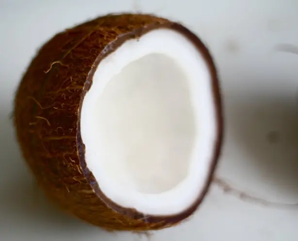 Cook Snap von kochcode-team