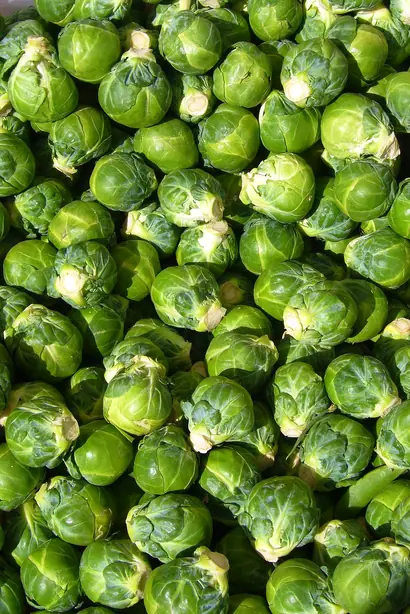Brussels sprout closeup – Foto: Eric Hunt (CC BY 2.5)