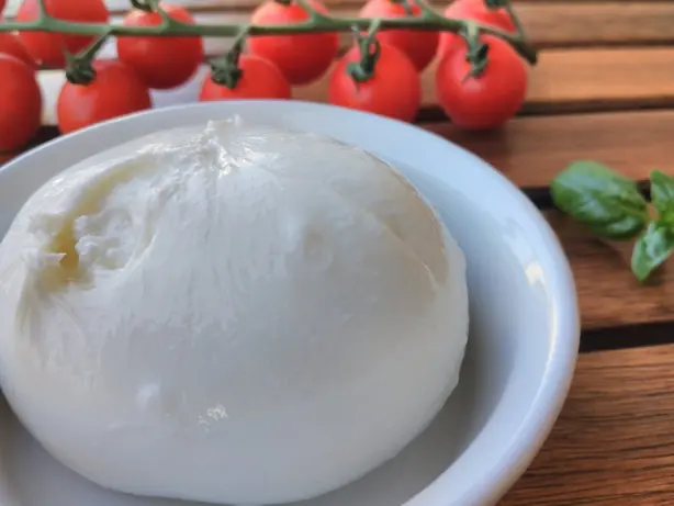 Foto von Burrata auf Tomaten-Carpaccio – fertig angerichtet