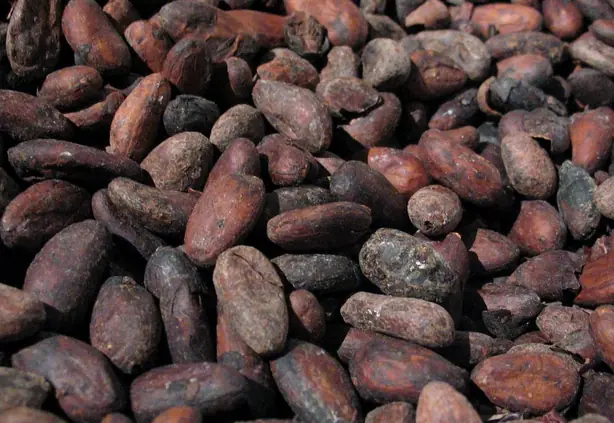 Foto von Cremiger Schokoladenlikör hausgemacht – fertig angerichtet