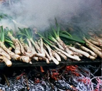 Foto von Katalanisches Kaninchen mit Birnen – fertig angerichtet