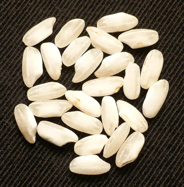 Foto von Klassisches Carnaroli Risotto – fertig angerichtet