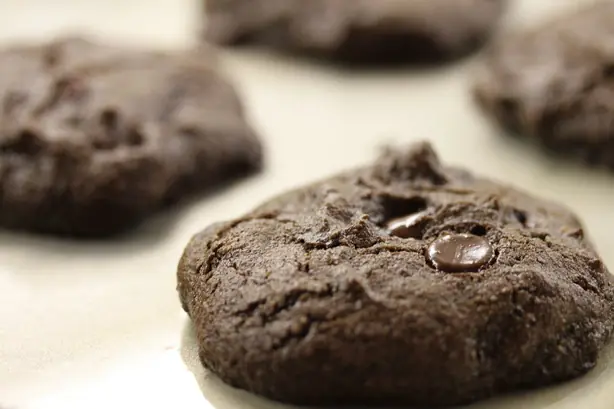 Cook Snap von kochcode-team