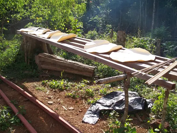 Foto von Kongolesisches Maniokbrot Kwánga – fertig angerichtet