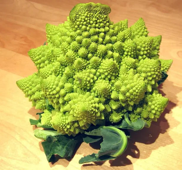 Cauliflower romanesco – Foto: User Sputnikcccp on en.wikiped (CC BY-SA 3.0)