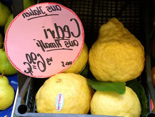 Cook Snap von kochcode-team