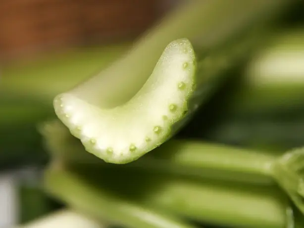 Cook Snap von kochcode-team