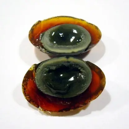 Cook Snap von kochcode-team