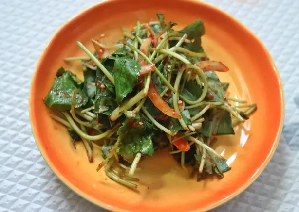 Cook Snap von kochcode-team