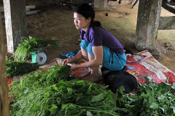 Cook Snap von kochcode-team