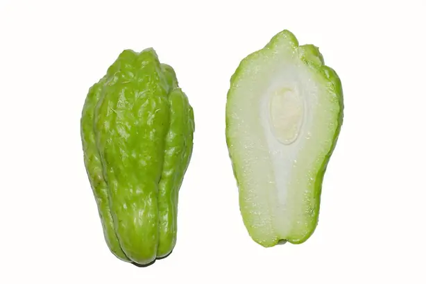 Cook Snap von kochcode-team