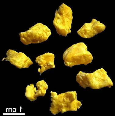 Cook Snap von kochcode-team