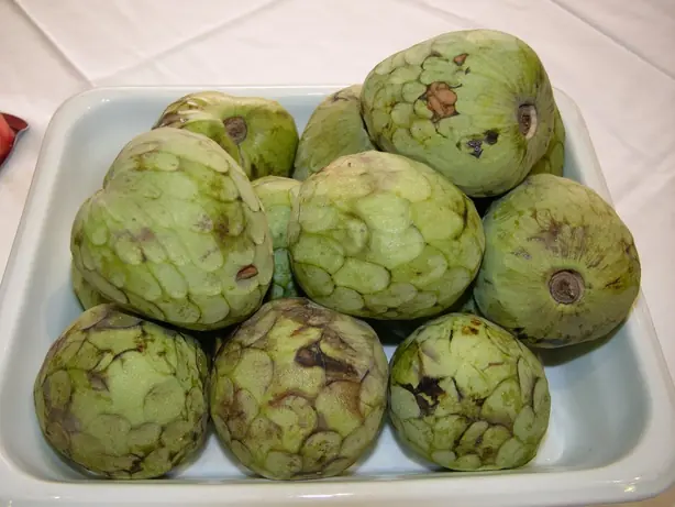 Cook Snap von kochcode-team