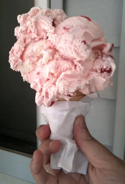 Cook Snap von kochcode-team