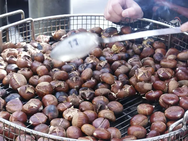 Cook Snap von kochcode-team