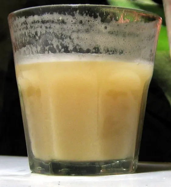 Foto von Peruanische Chicha de Jora – fertig angerichtet