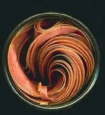 Cook Snap von kochcode-team